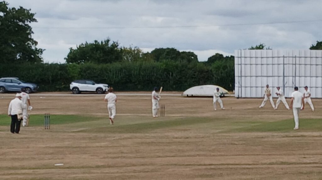 marplecricket